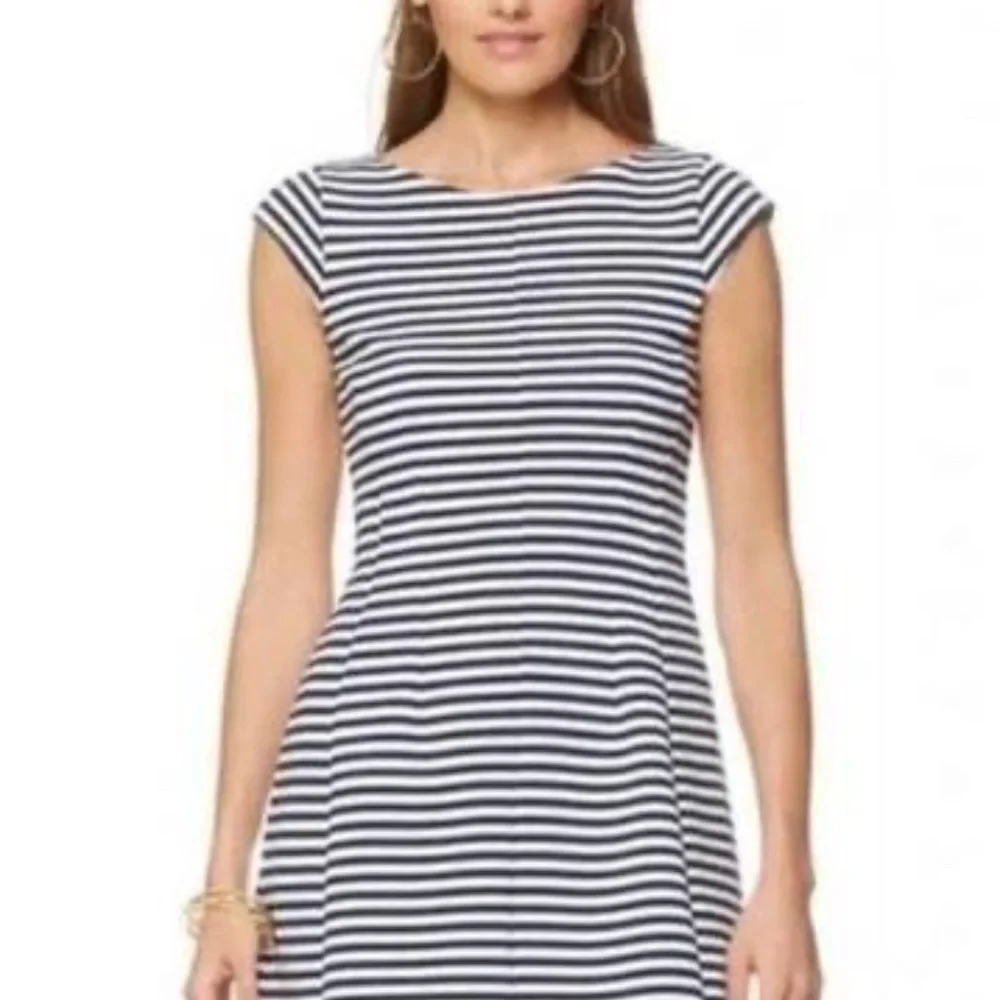 Lilly Pulitzer Briella Navy and White Striped Mini Dress - Picture 1 of 6